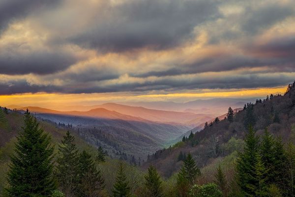 Jones, Adam 아티스트의 Sunrise view of Oconaluftee Valley-Great Smoky Mountains National Park-North Carolina작품입니다.